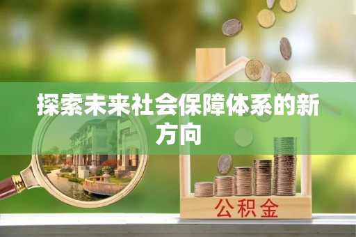 友好探索未来社会保障体系的新方向