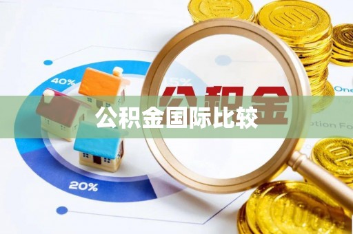 友好公积金国际比较