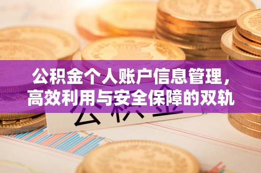 友好公积金个人账户信息管理，高效利用与安全保障的双轨并行