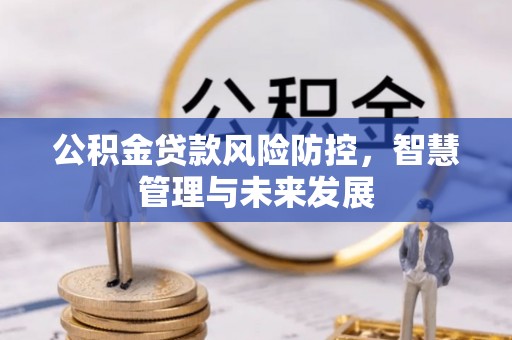 友好公积金贷款风险防控，智慧管理与未来发展