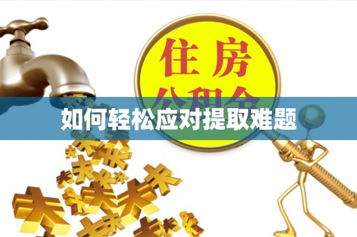 友好如何轻松应对提取难题