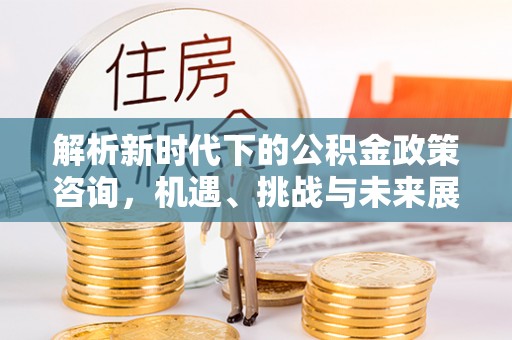 友好解析新时代下的公积金政策咨询，机遇、挑战与未来展望