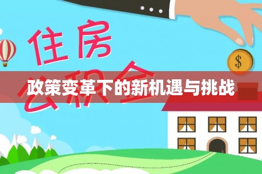 友好政策变革下的新机遇与挑战