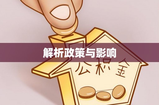 友好解析政策与影响