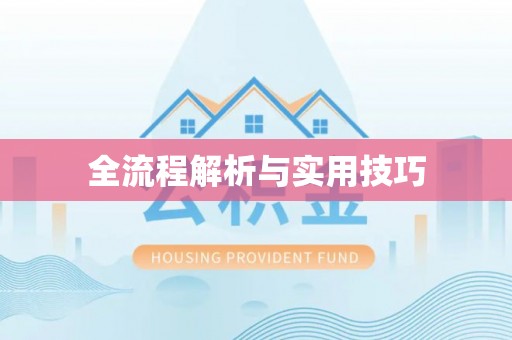 友好全流程解析与实用技巧