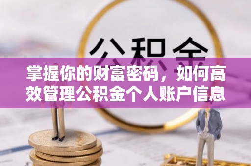 友好掌握你的财富密码，如何高效管理公积金个人账户信息