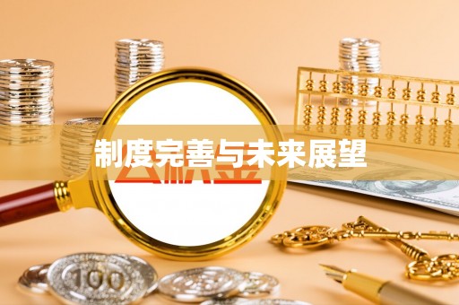 友好制度完善与未来展望