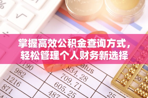 友好掌握高效公积金查询方式，轻松管理个人财务新选择