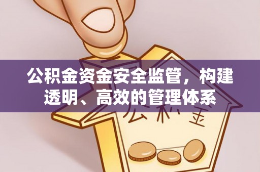 友好公积金资金安全监管，构建透明、高效的管理体系