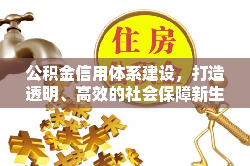 友好公积金信用体系建设，打造透明、高效的社会保障新生态