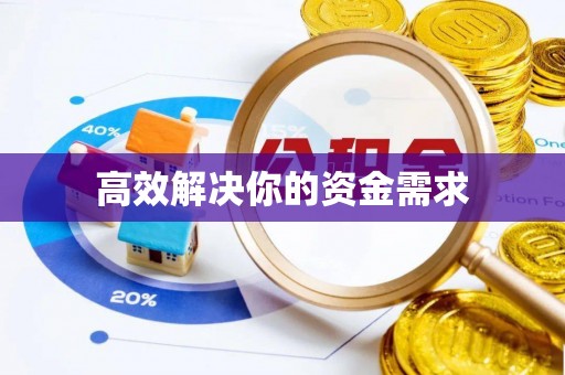 友好高效解决你的资金需求