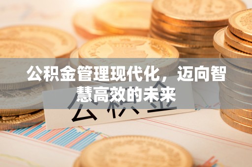 友好公积金管理现代化，迈向智慧高效的未来
