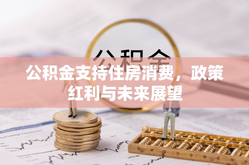 友好公积金支持住房消费，政策红利与未来展望