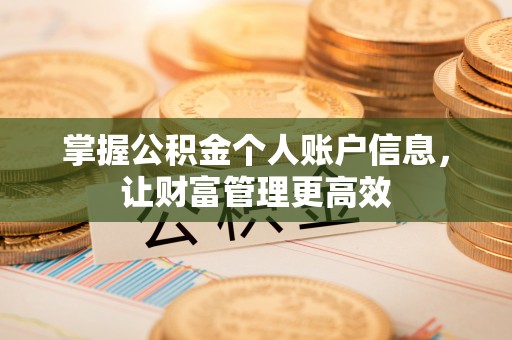 友好掌握公积金个人账户信息，让财富管理更高效