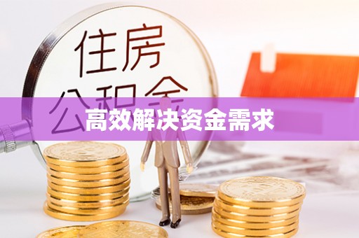 友好高效解决资金需求