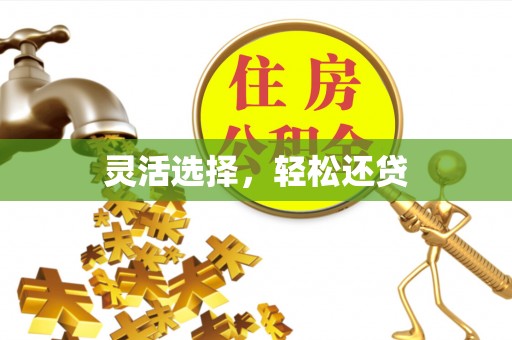 友好灵活选择，轻松还贷