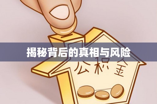 友好揭秘背后的真相与风险