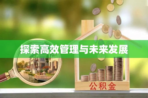 友好探索高效管理与未来发展