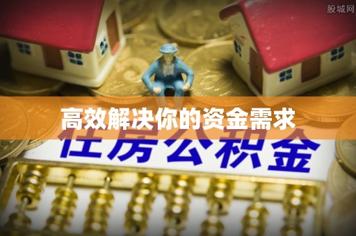 友好高效解决你的资金需求