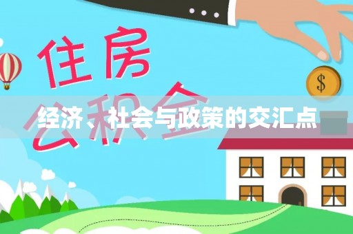友好经济、社会与政策的交汇点