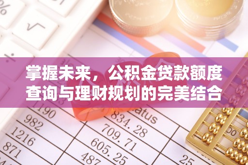 友好掌握未来，公积金贷款额度查询与理财规划的完美结合