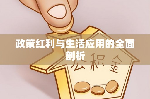 友好政策红利与生活应用的全面剖析