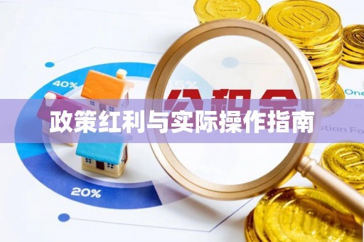 友好政策红利与实际操作指南