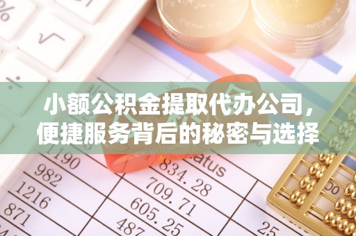 友好小额公积金提取代办公司，便捷服务背后的秘密与选择指南