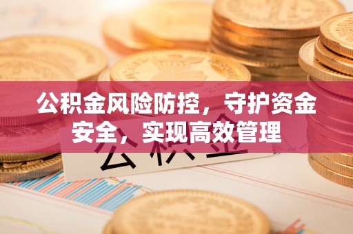 友好公积金风险防控，守护资金安全，实现高效管理