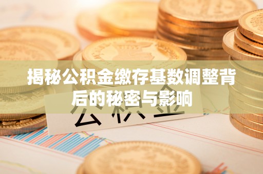 友好揭秘公积金缴存基数调整背后的秘密与影响