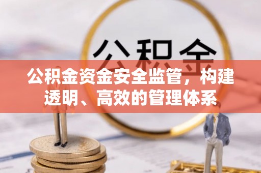 友好公积金资金安全监管，构建透明、高效的管理体系