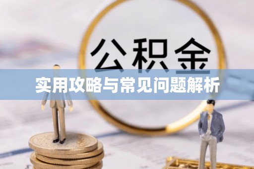 友好实用攻略与常见问题解析