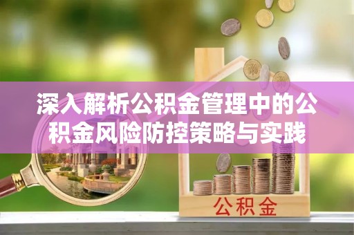 友好深入解析公积金管理中的公积金风险防控策略与实践