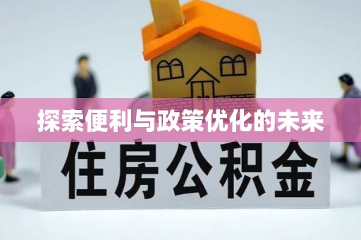 友好探索便利与政策优化的未来