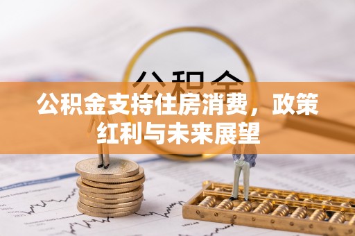 友好公积金支持住房消费，政策红利与未来展望