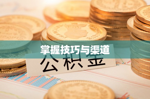 友好掌握技巧与渠道