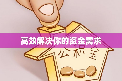 友好高效解决你的资金需求