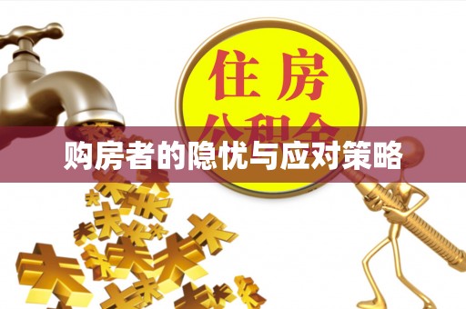 友好购房者的隐忧与应对策略