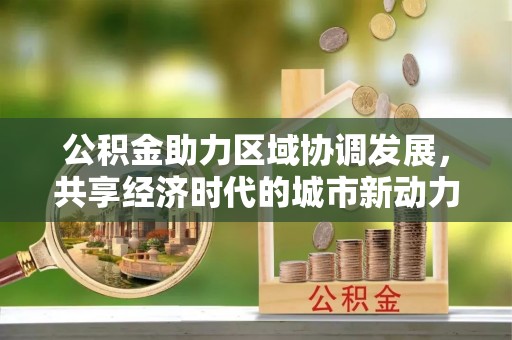 友好公积金助力区域协调发展，共享经济时代的城市新动力