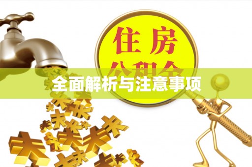 友好全面解析与注意事项