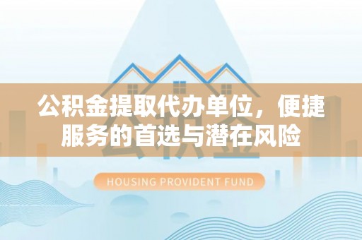 友好公积金提取代办单位，便捷服务的首选与潜在风险