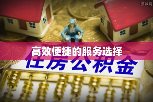 友好高效便捷的服务选择